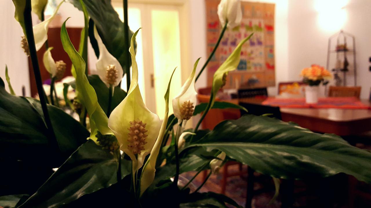 Attico Barocco Bed & Breakfast Lecce Exterior photo